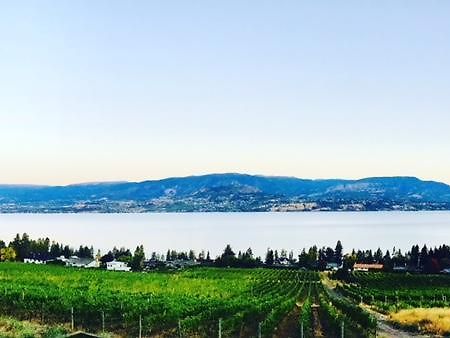 Summerhill Estate House Bed and Breakfast Kelowna Esterno foto