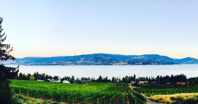 Summerhill Estate House Bed and Breakfast Kelowna Esterno foto