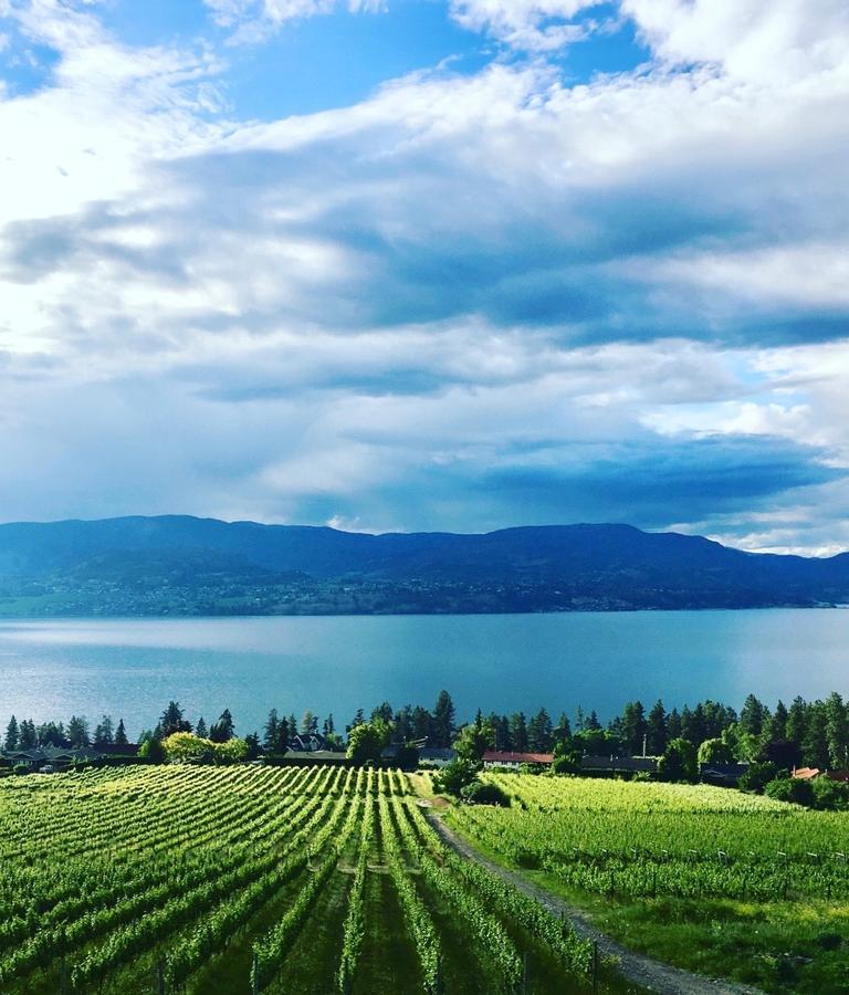 Summerhill Estate House Bed and Breakfast Kelowna Esterno foto